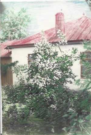 Casă, fotografie colorizată manual, România, perioada interbelică