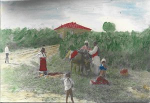 Țărani români cu măgar, fotografie colorizată manual, Vechiul Regat, perioada interbelică