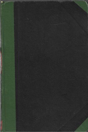 Mihai Eminescu, Geniu pustiu, roman postum cu o introducere critică și note de I Scurtu, 1918