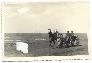 Trăsură cu cai, România, anii 1930