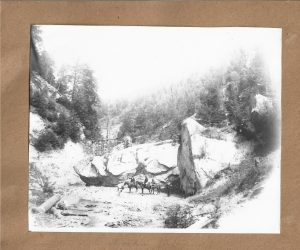 Pe valea Râmnicului, 1902
