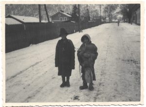 Țigani, România, perioada interbelică