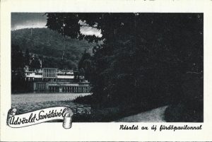 Üdvözlet Szovátáról, Részlet az új fürdőpavillon, carte poștală, Sovata