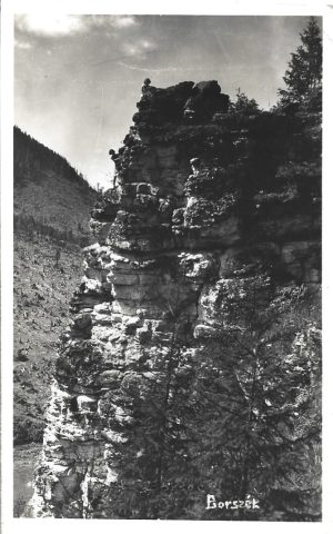 Borszék, Bagolyvár, carte poștală, Borsec