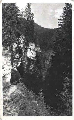 Borszék - erdőrészlet, carte poștală, Borsec