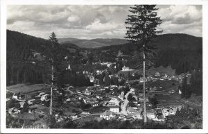 Borszék, Részletes látkép, carte poștală, Borsec