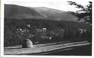 Borszék, Részletes látkép, carte poștală, Borsec