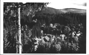 Borszék, Részletes látkép, carte poștală, Borsec