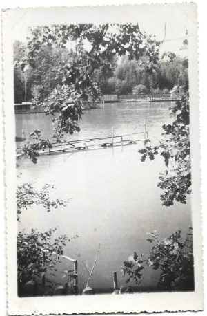 Sovata Băi - Szovátafürdő - Bad Sovata/Vedere din Lacul Ursu - Részlet a Medve-tóról - Teilansicht von Bärenteich, carte poștală