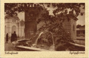 Felixfürdő, Gyógyforrás, carte poștală, Băile Felix