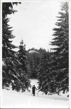 Peisaj montan iarna, zona Miercurea Ciuc, 1942