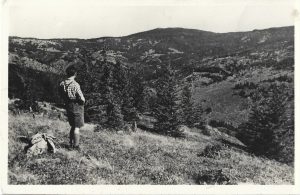 Madarasi Hargita 1801 m, carte poștală