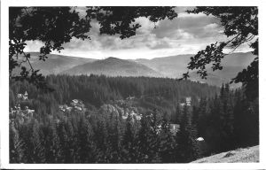 Borszék, Részletes látkép, carte poștală, Borsec