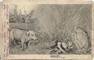 Ghici?, carte poștală, România, 1902