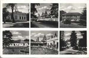 Üdvözlet Félix Fürdőről, carte poștală, Băile Felix
