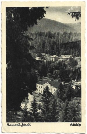 Borszék-fürdő, Látkép, carte poștală, Borsec