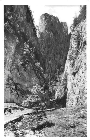 Békás szorosi részlet, carte poștală, Cheile Bicazului