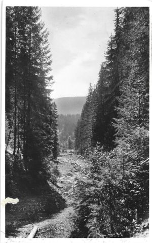 Borszék, Nádos, carte poștală, Borsec