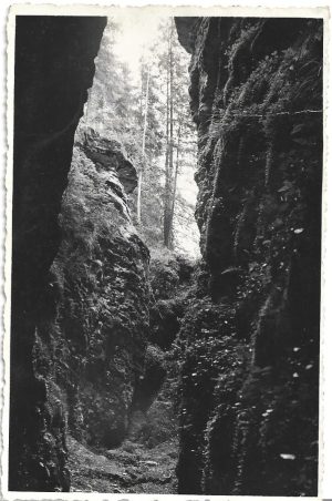 Borszék-fürdő, carte poștală, Borsec