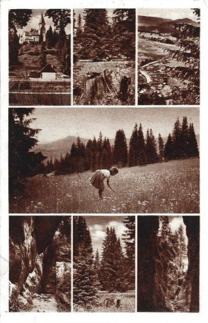 Borszékfürdői részletek, carte poștală, Borsec