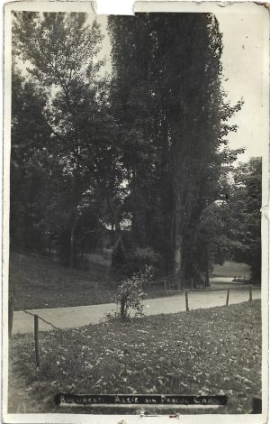 București, Aleie din Parcul Carol, carte poștală