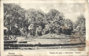 Buziaș, Partea din parc, Parkrészlet, Parkteil, carte poștală