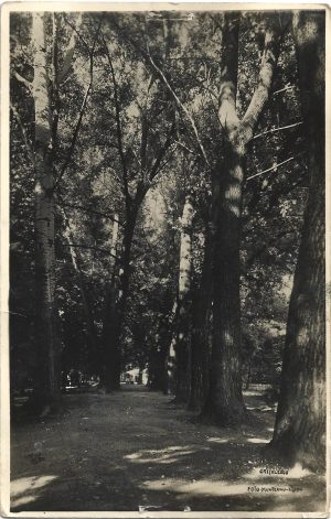 Parcul Crețulescu, carte poștală