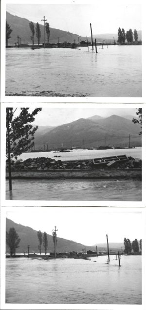 Inundație catastrofală la Șimleu Silvaniei, județul Sălaj, 12 iunie 1974, lot de 47 fotografii
