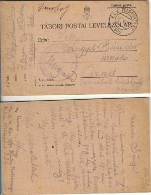 Tábori postai levelezőlap, carte poștală militară, 1916, ștampila Infanterieregiment Kaiser Leopold II Nr 33, Tábori posta 306, locotenent în rezervă Dolga Imre, expediată de pe frontul italian la Arad