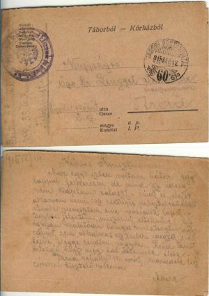 Táborból-Korházból, carte poștală militară, 1915, ștampila Infanterieregiment Kaiser Leopold II Nr 33, Tábori posta 60, locotenent în rezervă Dolga Imre, expediată de pe frontul din Galiția la Arad