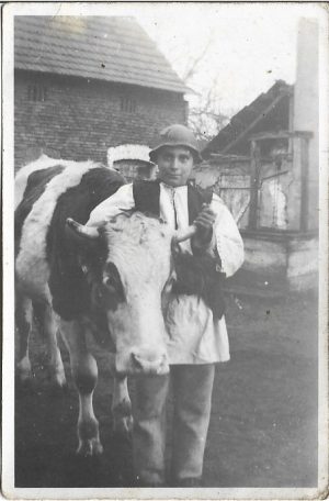 Copil în port popular românesc, cu vacă, România, perioada intebelică