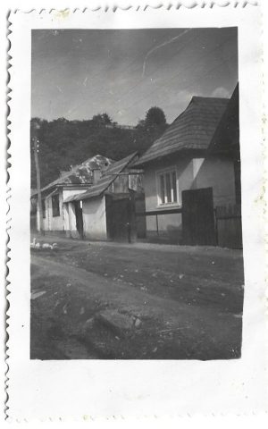 Uliță în sat, România, perioada interbelică