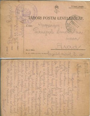Tábori postai levelezőlap, carte poștală militară, 1915, ștampila Infanterieregiment Kaiser Leopold II Nr 33, Tábori posta 60, locotenent în rezervă Dolga Imre, expediată de pe frontul din Galiția la Arad