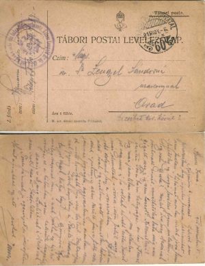 Tábori postai levelezőlap, carte poștală militară, 1915, ștampila Infanterieregiment Kaiser Leopold II Nr 33, Tábori posta 60, locotenent în rezervă Dolga Imre, expediată de pe frontul din Galiția la Arad