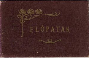 Előpatak/Vâlcele, județul Covasna, album cu 12 cărți poștale anterioare anului 1918 editat de Brassói Lapok