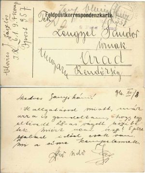 Feldkorrespondenzkarte, carte poștală militară, 1916, ștampila Infanterieregiment Nr 61 din Timișoara, Ettapenpostamt 357, expediată de pe frontul italian la Arad