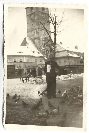 Firmele de lângă Turnul Sfatului din Piața Mare, Sibiu, anii 1930