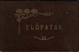 Előpatak/Vâlcele, județul Covasna, album cu 12 cărți poștale anterioare anului 1918 editat de Brassói Lapok
