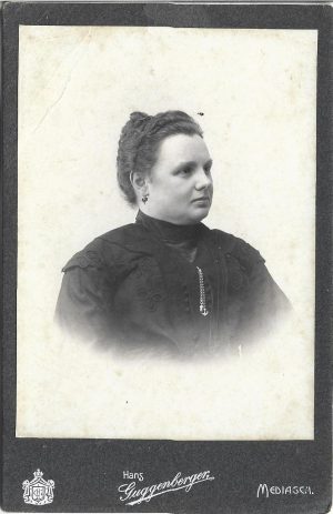 Fotografie studio Hans Guggenberger, Mediaș