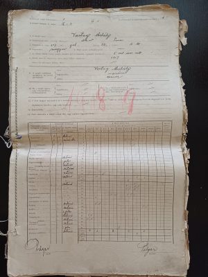 Volum de 162 foi matricole școlare, anul școlar 1918-1919, Rovinița Mare, județul Timiș