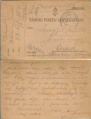 Tábori postai levelezőlap/carte poștală militară cu ștampila M kir 51 gyalogezred von Boroevic expediată la Arad, Feldpost 37