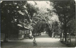 Odorheiu, Chioscul din Parc - Sétatér, kioszk, Székelyudvarhely, carte poștală