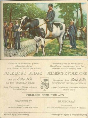 Folklore belge, Editié par Côte d’Or, Le bon chocolat belge, Folklore Côte d’Or No 77, Brasschaet, Le vainqueur de la curieuse Course aux Boeufs - reclamă ciocolată