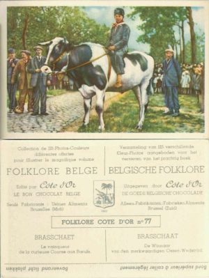Folklore belge, Editié par Côte d’Or, Le bon chocolat belge, Folklore Côte d’Or No 77, Brasschaet, Le vainqueur de la curieuse Course aux Boeufs - reclamă ciocolată