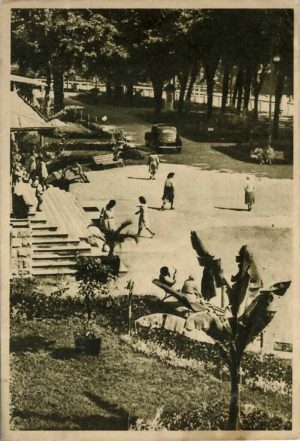 Călimănești - Parcul, carte poștală circulată Satu Mare, RPR