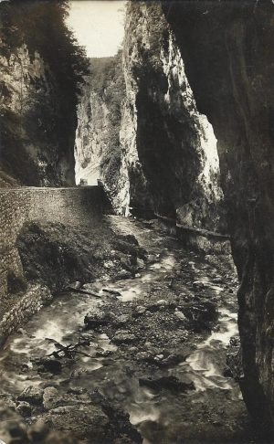 Defileul Bistriței - Vâlcea, clișeu de J Fischer, 1931, carte poștală