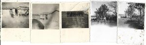 Militari români pe Frontul de Est, Al Doilea Război Mondial, lot de 5 fotografii + 1 negativ