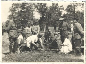Castrarea unui armăsar de către medici militari veterinari ai unei unități de cavalerie română, perioada regalității