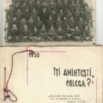 Liceul Mircea cel Bătrân Constanța