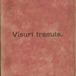 carte veche, Visuri trecute schițe și nuvele de Alexandru Ciura 1903 Blaj, Anticariat Historiarum